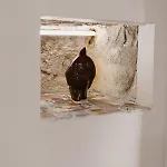 公寓 Ni Na Na Na *
